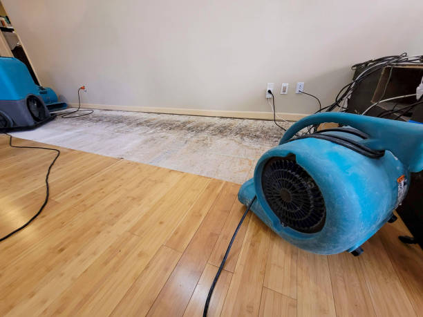 Professional Ceiling Water Damage Repair technician working in Olean, MO
